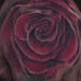 tattoo galleries/ - Healed Rose on hand